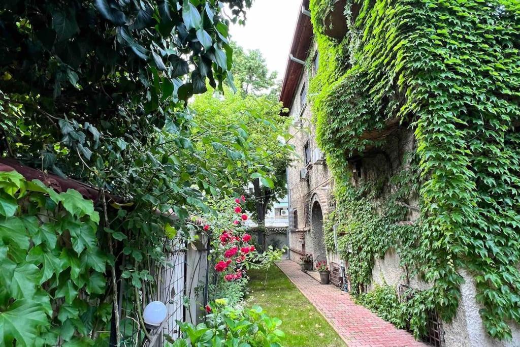 Floreasca Apartment *